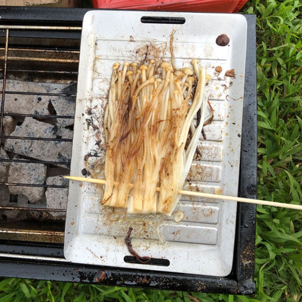 Durable Titanium Camping Grill - Kitchen Baking Tray Organiser recensione e prezzo